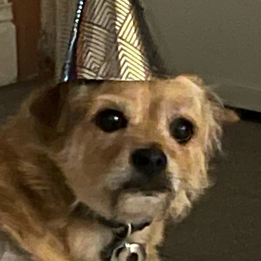 Meet your Posher, Juan